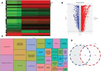 Developing mRNA signatures as a novel prognostic biomarker predicting high risk multiple myeloma